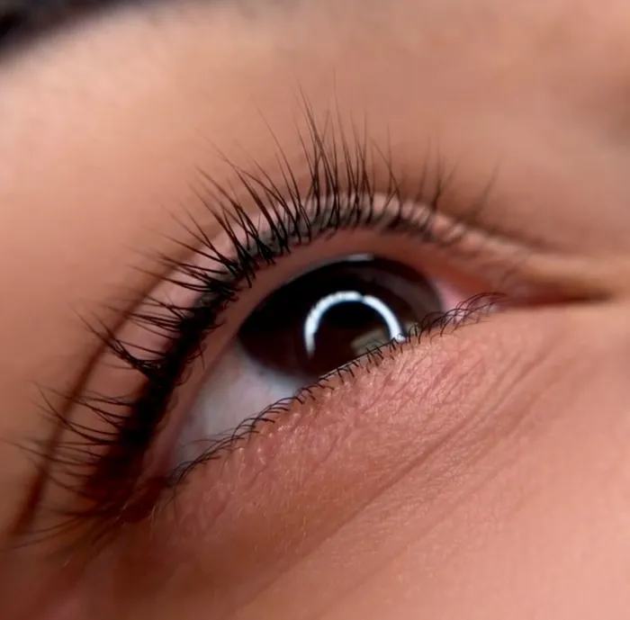 Natural Eyeliner Tattoo Styles